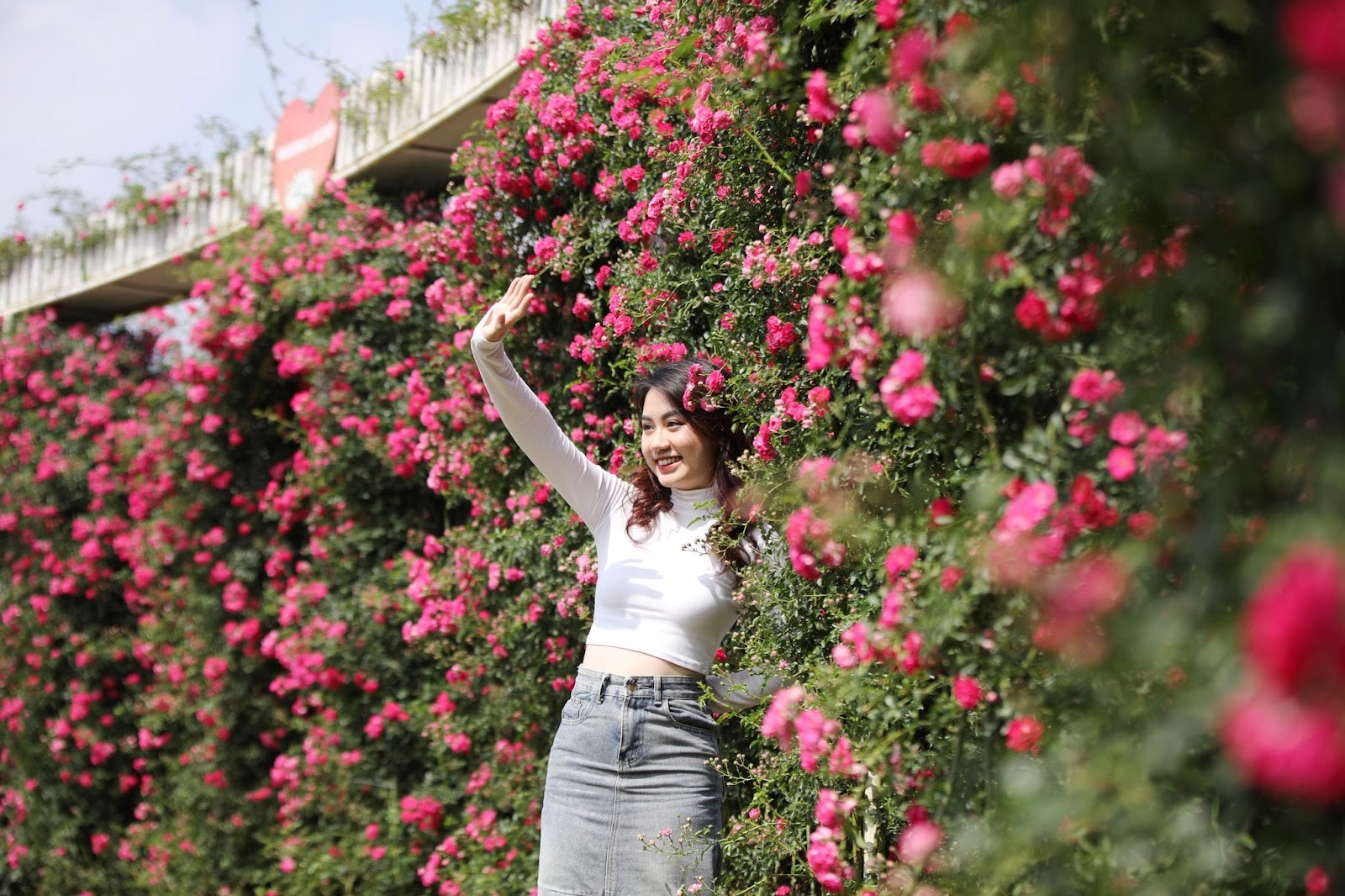 Sa Pa rực rỡ chào hè với Lễ hội Hoa hồng Fansipan 2025
 - 4